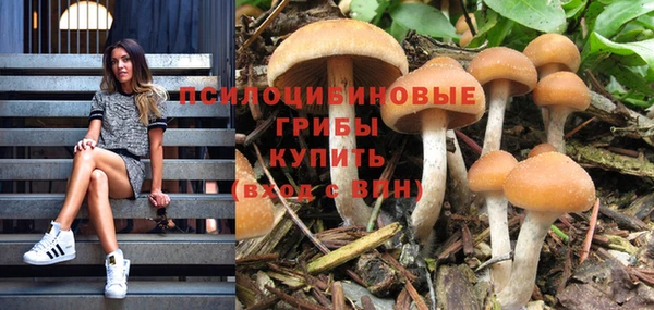 герыч Бронницы