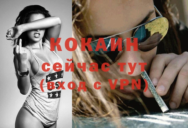 прущая мука Бородино