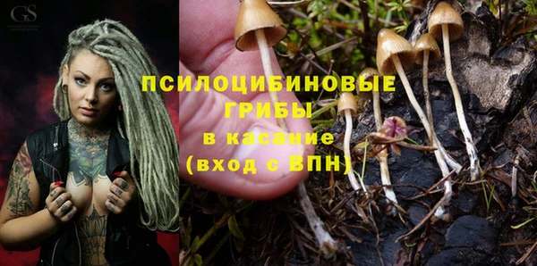 прущая мука Бородино