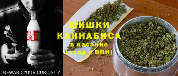 прущая мука Бородино