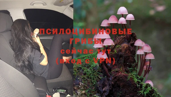 марки nbome Бугульма