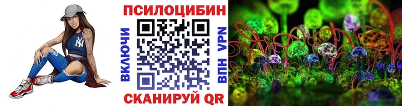KRAKEN   Духовщина  Псилоцибиновые грибы Psilocybe 
