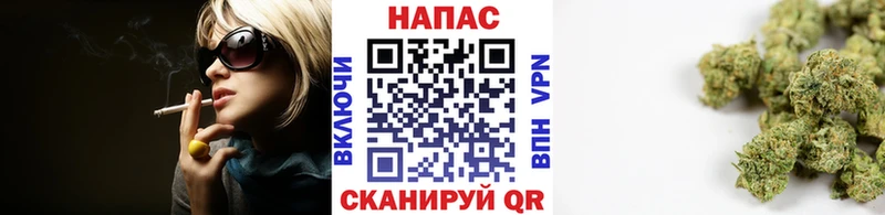 blacksprut вход  Духовщина  Шишки марихуана планчик 